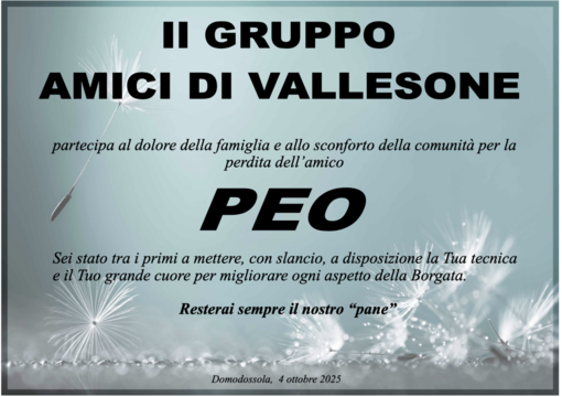Partecipazione