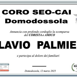 Partecipazione