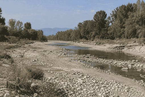 Settembre a secco al Sud e fiumi del Nord ai minimi, Plantvoice misura nella linfa quanta acqua serve alle piante Settembre a secco al Sud e fiumi del Nord ai minimi, Plantvoice misura nella linfa quanta acqua serve alle piante
