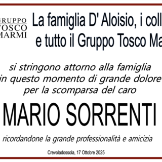 Partecipazione