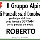 Partecipazione Partecipazione