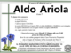 Aldo Ariola di anni 77