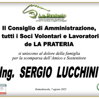 Partecipazione
