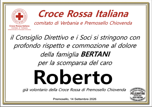 Partecipazione