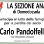 Partecipazione