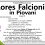 Lores Falcioni in Piovani di anni 76 Lores Falcioni in Piovani di anni 76