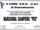 Partecipazione