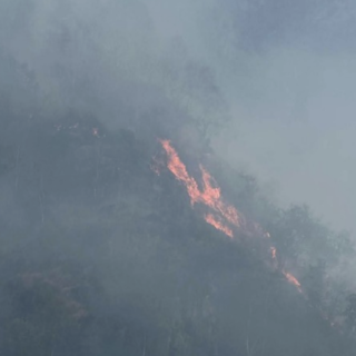 Incendio tra Vogogna e Beura, il fronte raggiunge la valle del Rio di Prata