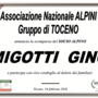 Migotti Gino