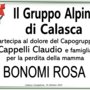 Partecipazione