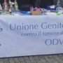 Al mercato una bancarella solidale per aiutare i bambini malati di tumore Al mercato una bancarella solidale per aiutare i bambini malati di tumore