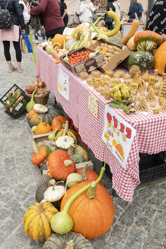 Santa Maria Maggiore si veste d'autunno con Fuori di Zucca Santa Maria Maggiore si veste d'autunno con Fuori di Zucca