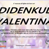 Didenkul Valentina Didenkul Valentina