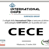 Partecipazione