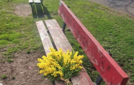 Panchine rosse contro la violenza sulle donne, il M5S chiede maggiore attenzione alla manutenzione