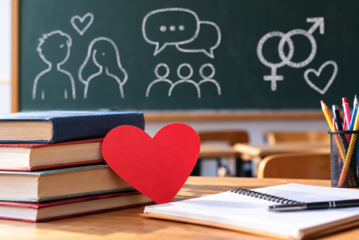 Educazione affettiva nelle scuole, il centrosinistra del Vco sostiene il referendum