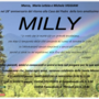 Milly Milly