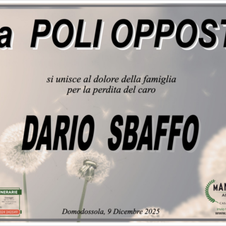 Partecipazione