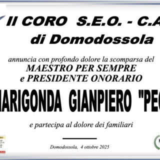 Partecipazione