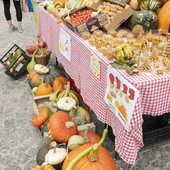 Santa Maria Maggiore si veste d'autunno con Fuori di Zucca