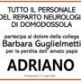 Partecipazione Partecipazione
