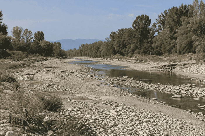 Settembre a secco al Sud e fiumi del Nord ai minimi, Plantvoice misura nella linfa quanta acqua serve alle piante Settembre a secco al Sud e fiumi del Nord ai minimi, Plantvoice misura nella linfa quanta acqua serve alle piante