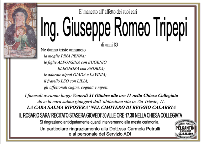 Ing. Giuseppe Romeo Tripepi83 anni