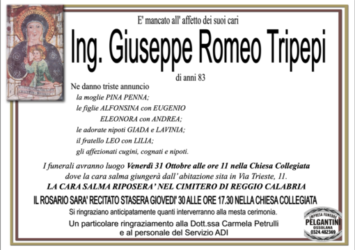 Ing. Giuseppe Romeo Tripepi83 anni