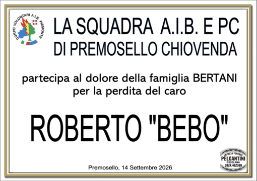 Partecipazione