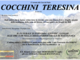 Cocchina Teresina di anni 92