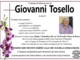 Giovanni Tosello di anni 81