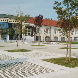 Università, Edisu stanzia 50 milioni di euro per le borse di studio