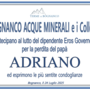 Partecipazione