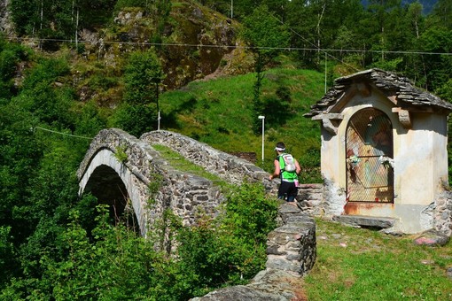 Strà Granda Monterosa, conto alla rovescia per il ritorno della storica corsa della Valle Anzasca Strà Granda Monterosa, conto alla rovescia per il ritorno della storica corsa della Valle Anzasca