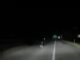Nuovo avvistamento di un lupo sulla strada che collega il Croppo con Masera VIDEO