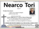 Nearco Tori di anni 78