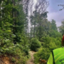 Cercatore di funghi non rientra dai boschi, ricerche in corso in Val Vigezzo Cercatore di funghi non rientra dai boschi, ricerche in corso in Val Vigezzo