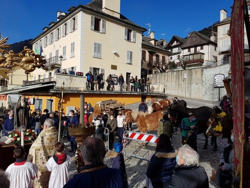 Toceno festeggia Sant’Antonio Abate Toceno festeggia Sant’Antonio Abate