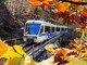 Tutte le sfumature dell’autunno nel Distretto dei Laghi: tra foliage, trekking, sapori ed eventi