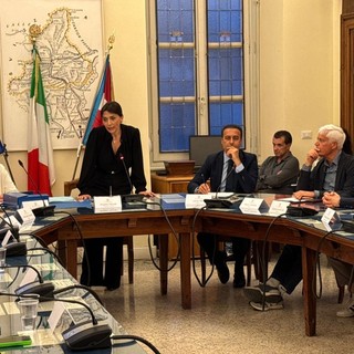 E' Angela Tripodi il nuovo presidente del consiglio domese