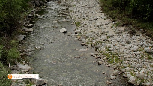 Il fiume Toce tra Pontemaglio e Oira
