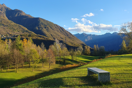 Villadossola, torna il Trofeo Collina dello Sport: attesi centinaia di giovani atleti