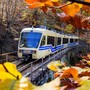Tutte le sfumature dell’autunno nel Distretto dei Laghi: tra foliage, trekking, sapori ed eventi
