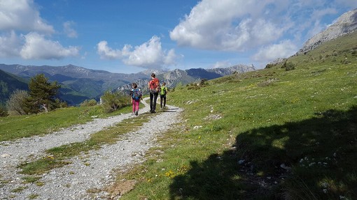 In Piemonte nei primi sei mesi del 2025 presenze in crescita del 5,3%