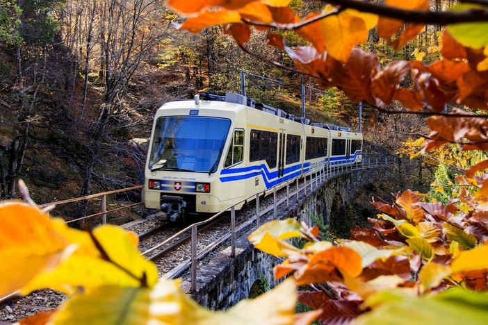 Tutte le sfumature dell’autunno nel Distretto dei Laghi: tra foliage, trekking, sapori ed eventi