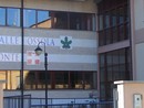 “Valorizzazione della filiera legno&quot;: un nuovo incontro a Domodossola