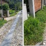 ''Erba alta a Vogogna in piena stagione turistica''