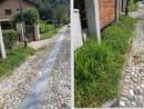 ''Erba alta a Vogogna in piena stagione turistica'' ''Erba alta a Vogogna in piena stagione turistica''