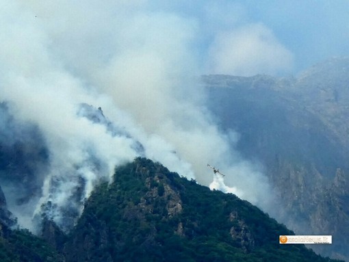 Incendi nel Vco, arriva un altro rinforzo dal cielo: l'elicottero Erickson S64 sarà operativo da Cameri Incendi nel Vco, arriva un altro rinforzo dal cielo: l'elicottero Erickson S64 sarà operativo da Cameri