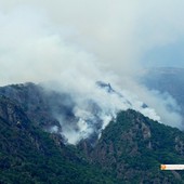 Val Grande, gli interventi per salvare una farfalla rara frenano le fiamme Val Grande, gli interventi per salvare una farfalla rara frenano le fiamme